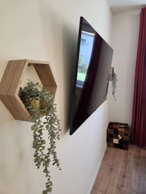 Baltic Garden Suite Dziwnów Zewnętrze zdjęcie